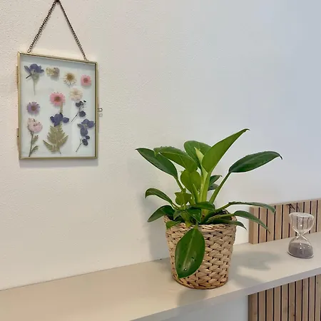 아파트 Designovy S Vyhledem Na Reku *